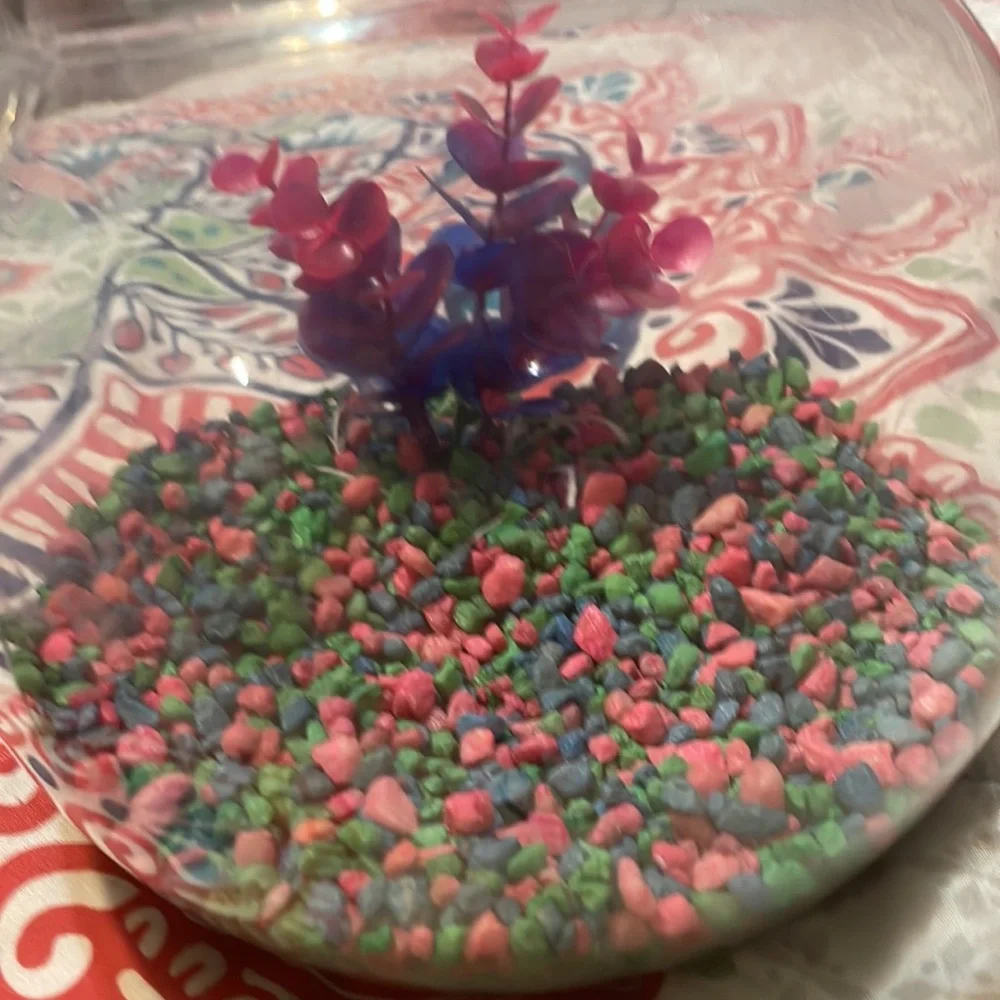 I’m am selling a small aquarium with a PLASTIC plant and a SpongeBob pineapple